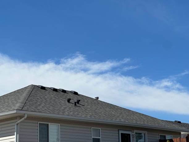 Best Roofing for New Construction  in Sparta, MI